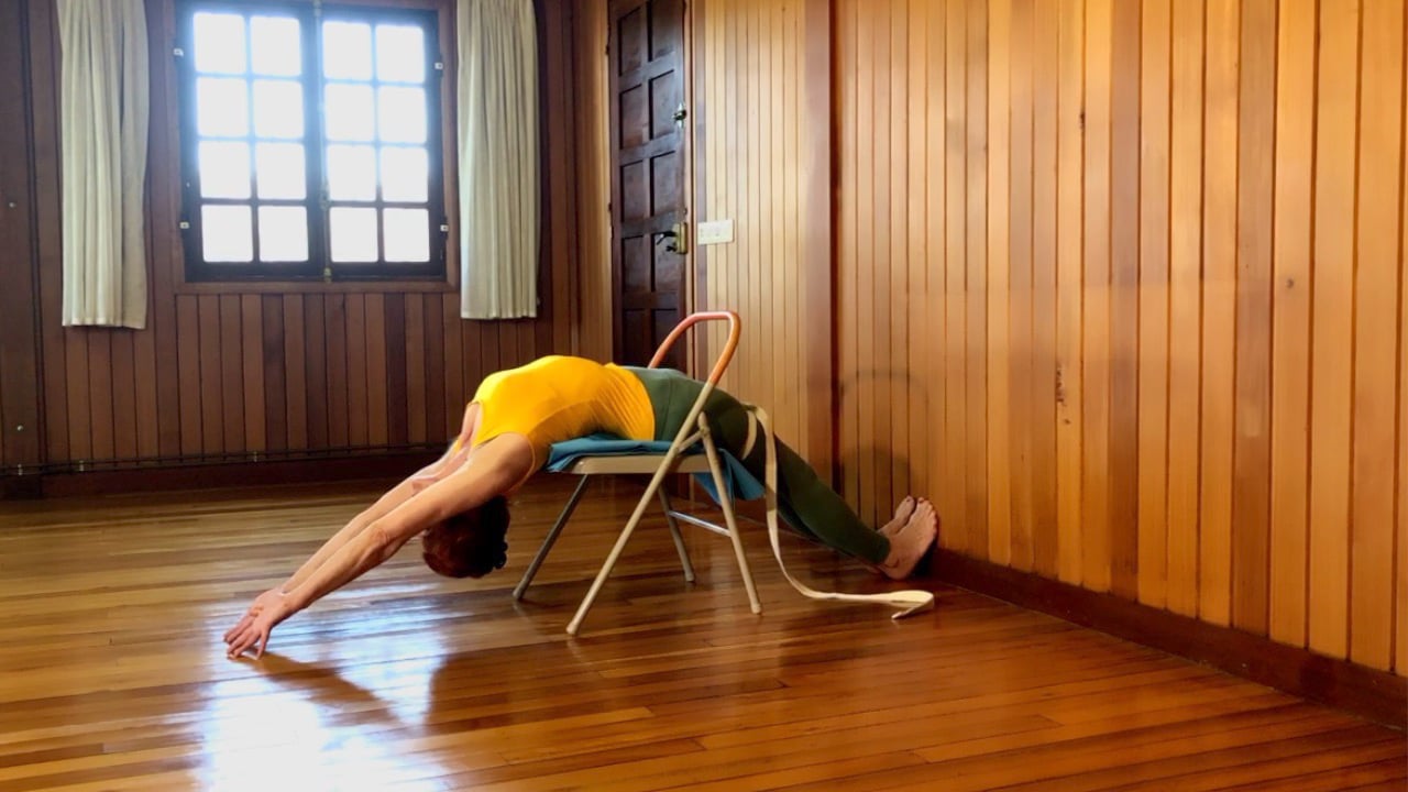 Class 12 - Back Bends