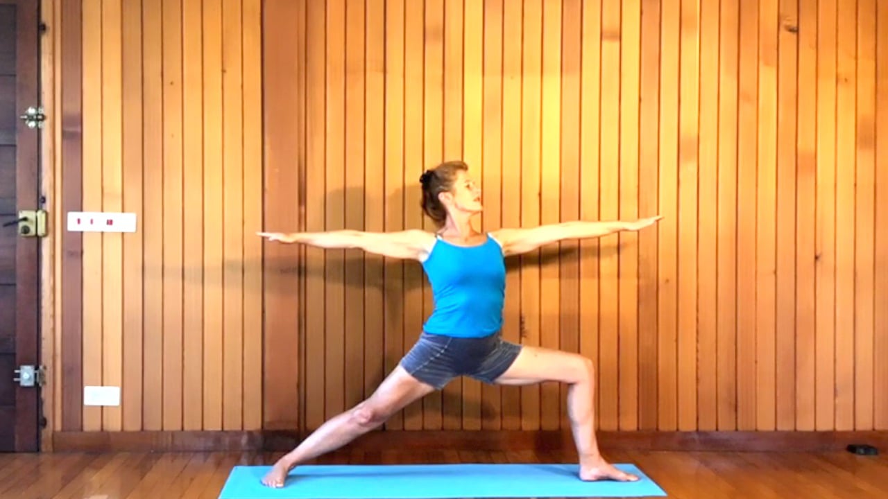 2 hr Class 26 - Standing Poses