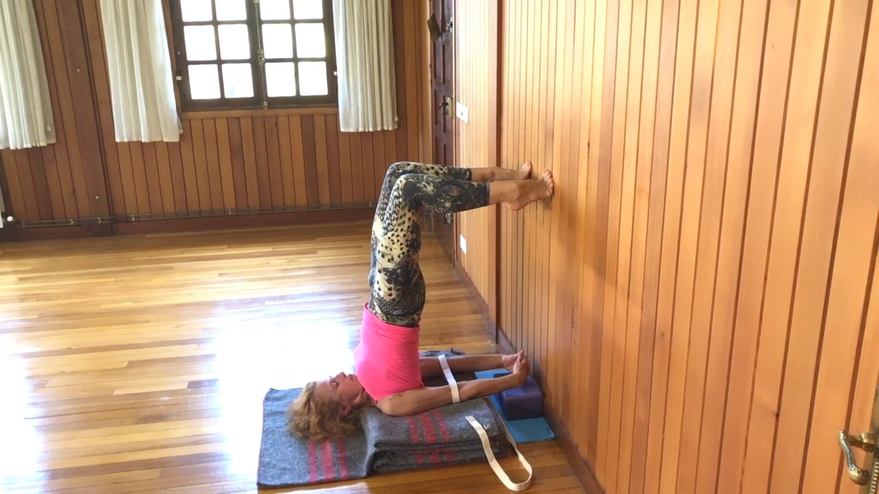 2 hr Class 23 - Restorative - Pranayama
