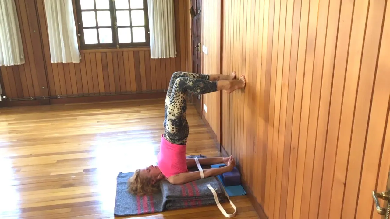 2 hr Class 23 - Restorative - Pranayama