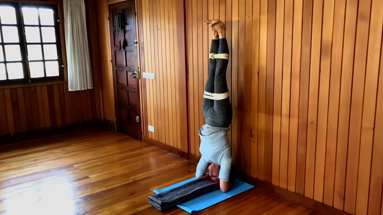 Individual Class Rentals: 2-Hour Yoga Classes: Levels II-IV  -  $10 for 3 days