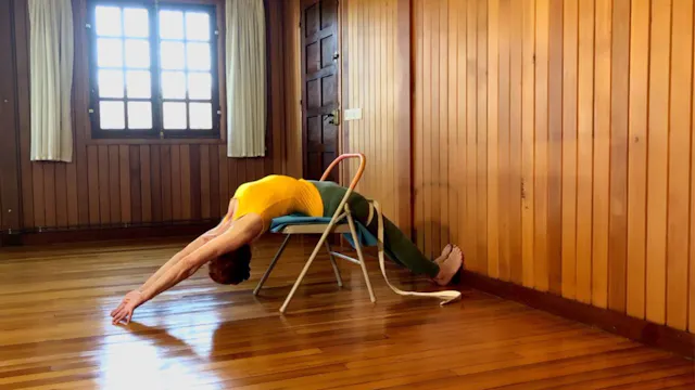 Class 12 - Back Bends