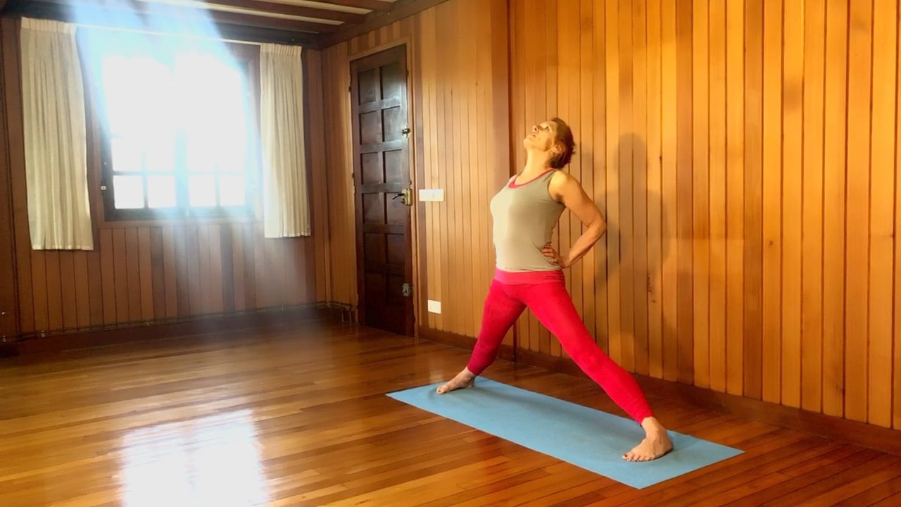 Class 4 - Standing Poses