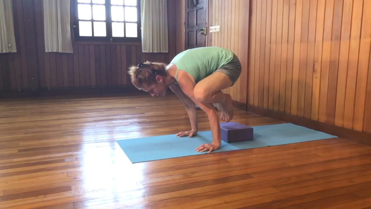 2 hr Class 14 - Arm Balancing & Passive Back Bends