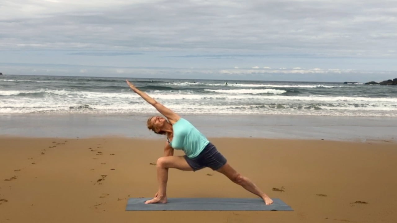 2 hr Class 19 - Forward Bends with Twists