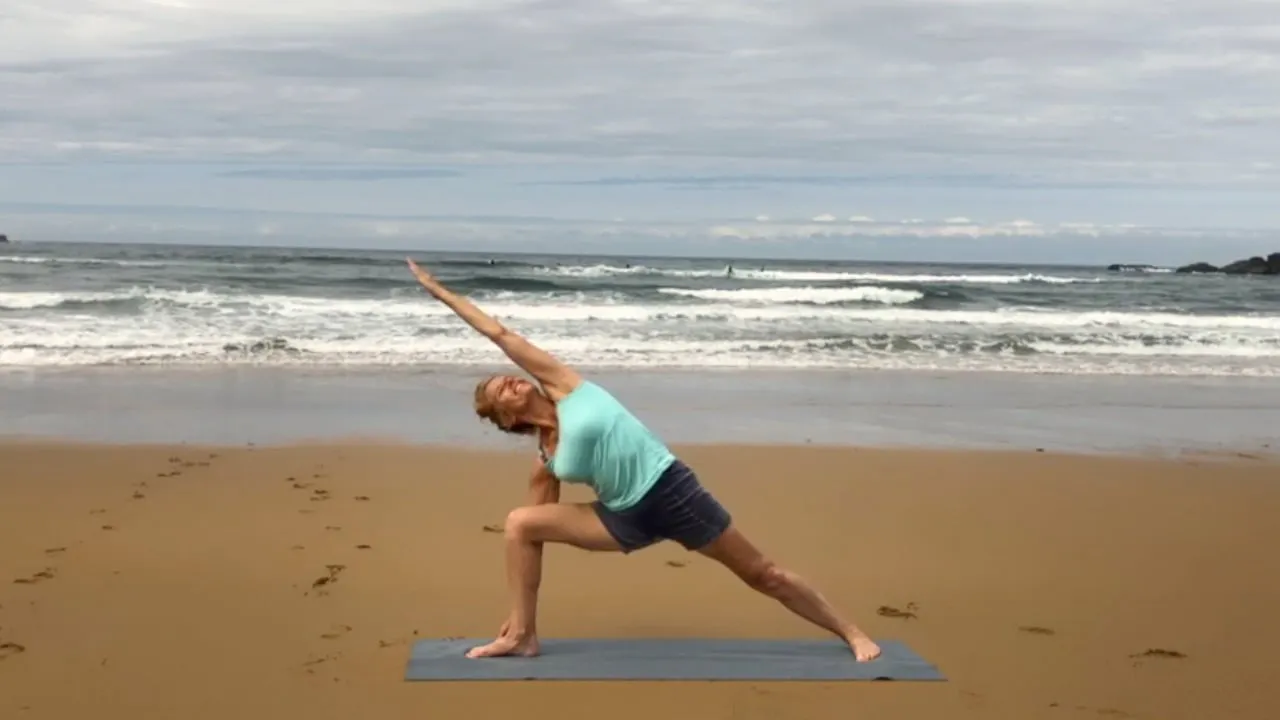 2 hr Class 19 - Forward Bends with Twists