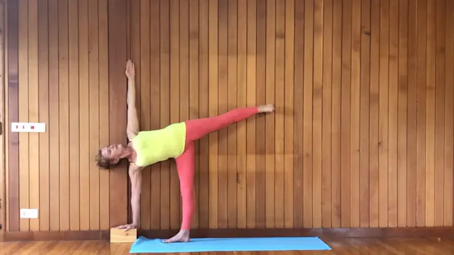 2 hr Class 9 - Standing Poses