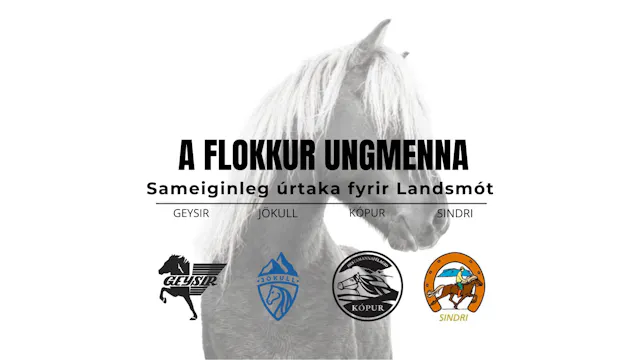 A flokkur ungmenna - Landsmótsúrtaka ...