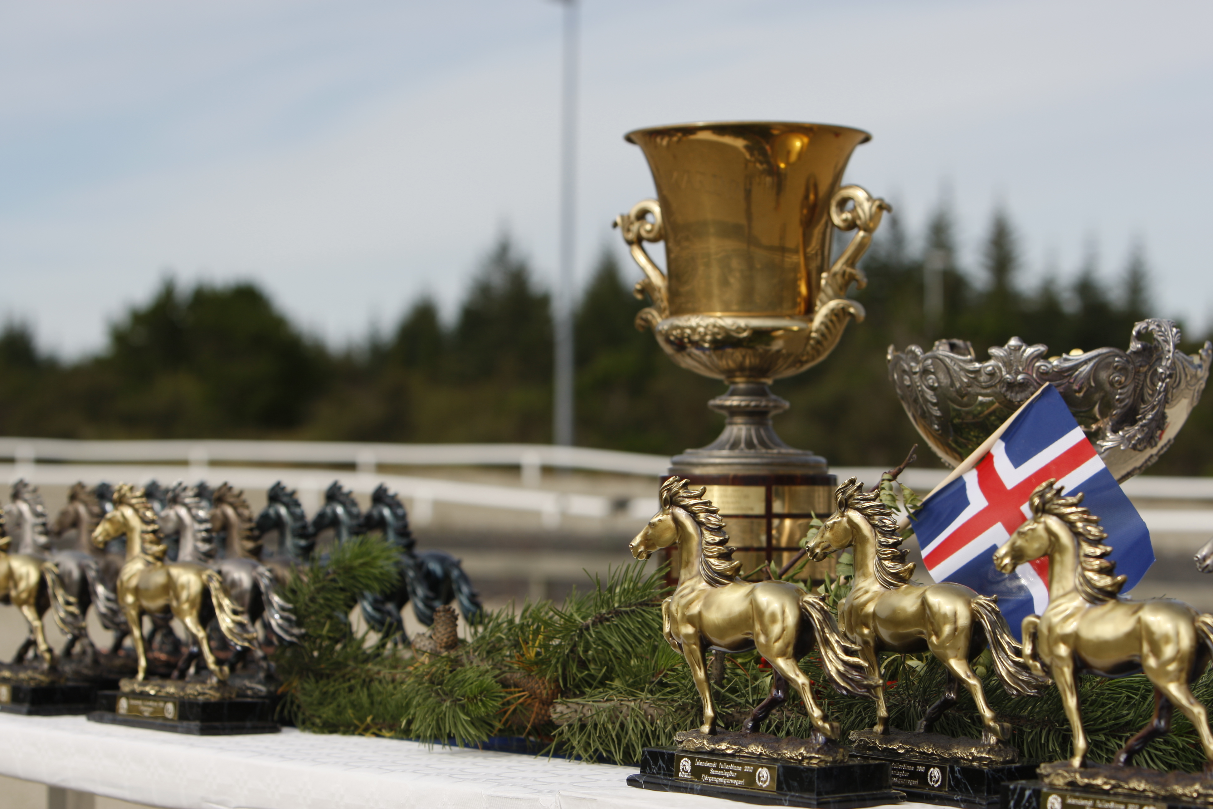 17.- 21. júní Íslandsmót ungmenna og fullorðinna