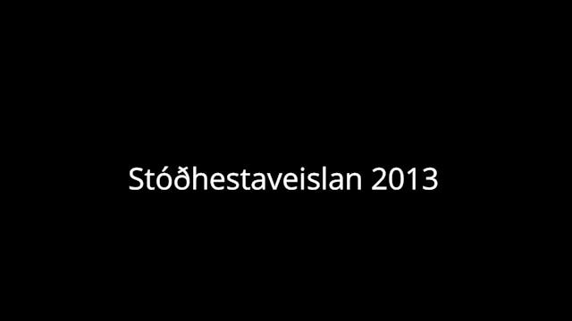 Stóðhestaveislan 2013