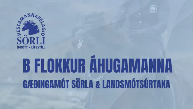B flokkur áhugamanna - Gæðingamót Sör...