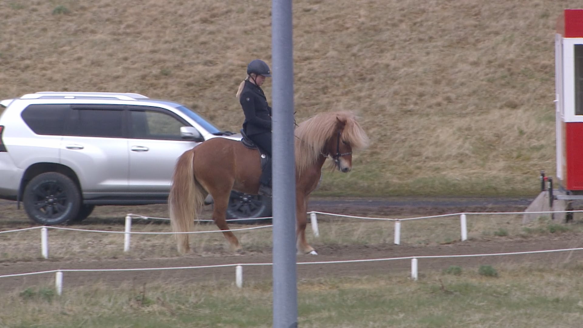 Fimmgangur F2 - 1. flokkur - Forkeppni - Íþróttamót Spretts 2025