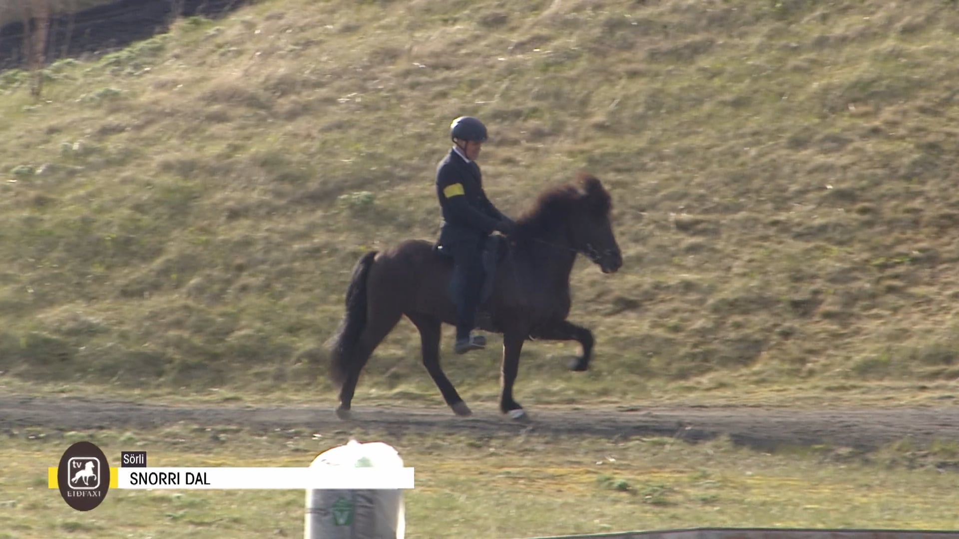 Fjórgangur V1 - Meistaraflokkur - A úrslit - Íþróttamót Spretts 2025