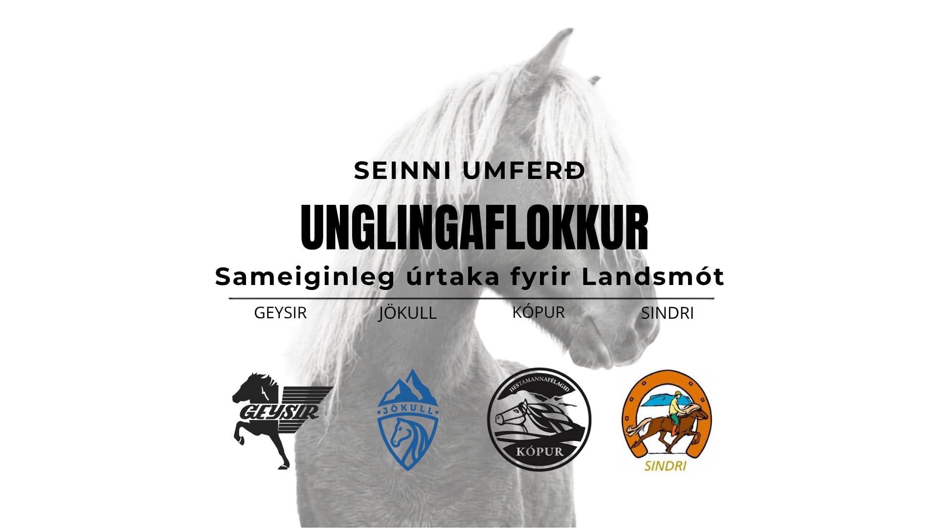 Unglingaflokkur - Landsmótsúrtaka Geysis, Jökuls, Kóps og Sindra