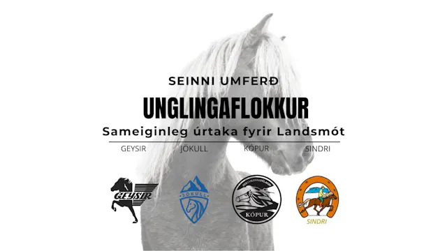 Unglingaflokkur - Landsmótsúrtaka Gey...