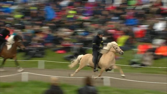 Landsmót 2016 6. þáttur