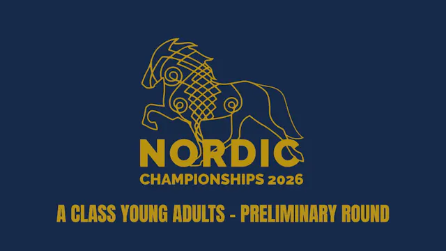 A class young adults - The Nordic Cha...