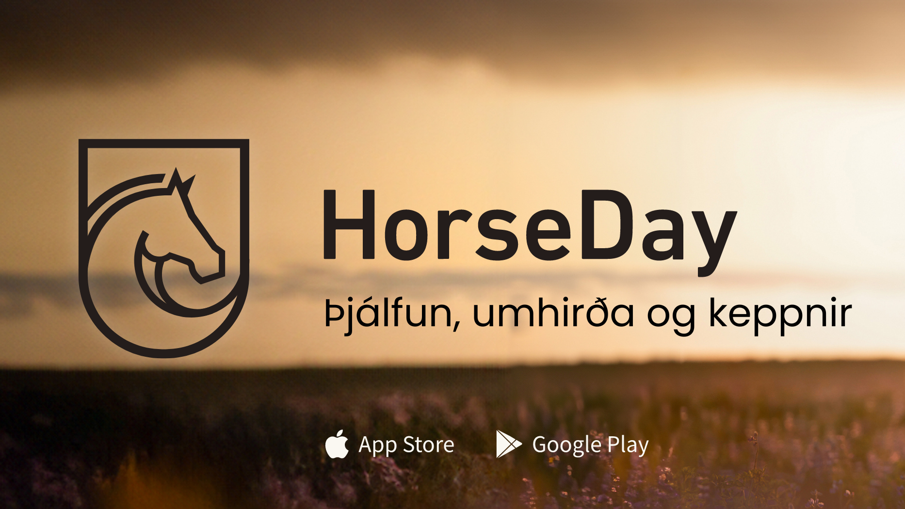 Betri stofa Eiðfaxa & HorseDay á Landsmóti 2024