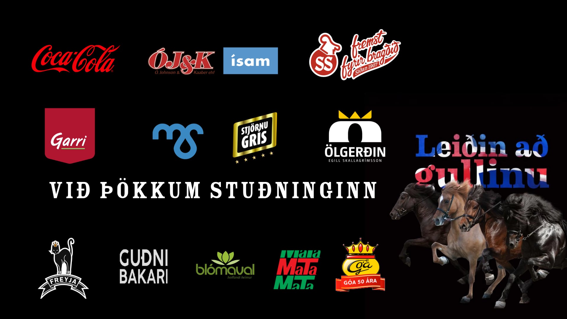 Leiðin að gullinu - Dagur 2