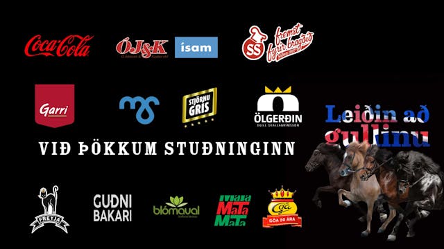 Leiðin að gullinu - Dagur 2