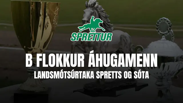 B flokkur áhugamenn - Landsmótsúrtaka...