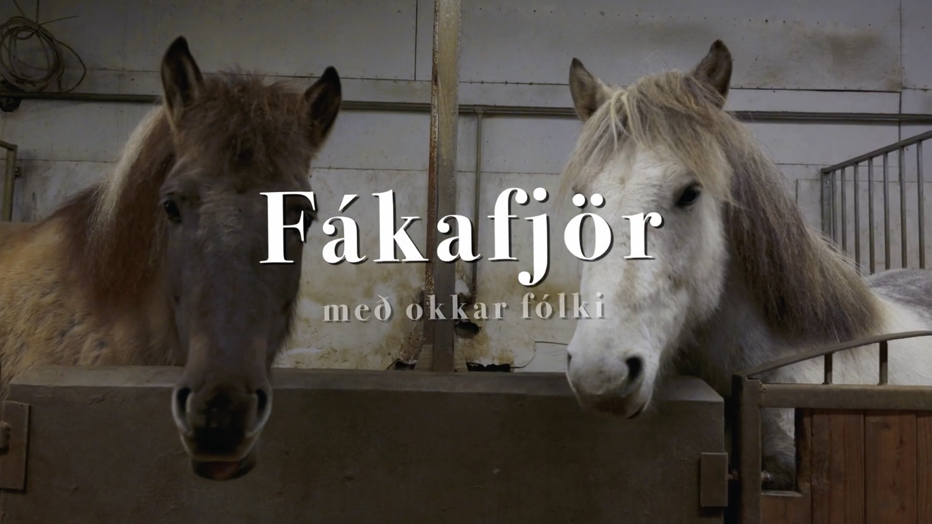 Fákafjör