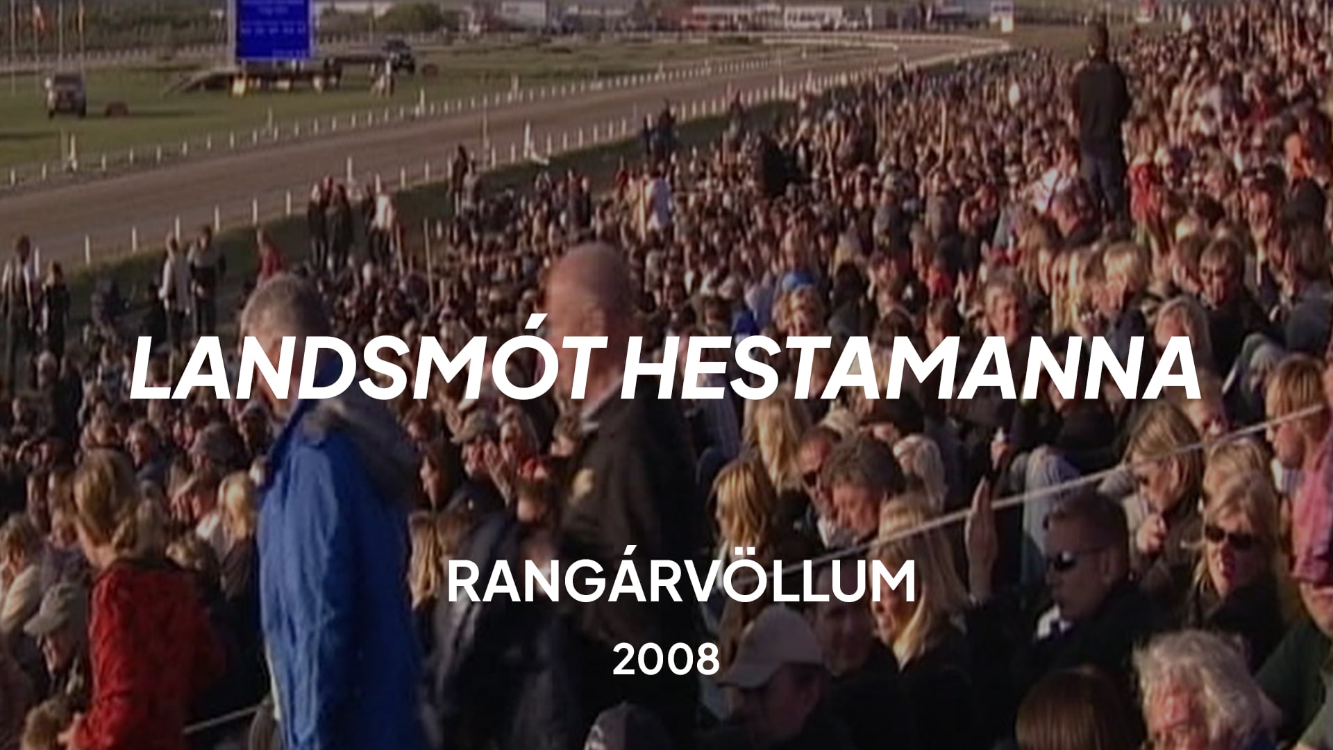 Landsmót hestamanna 2008