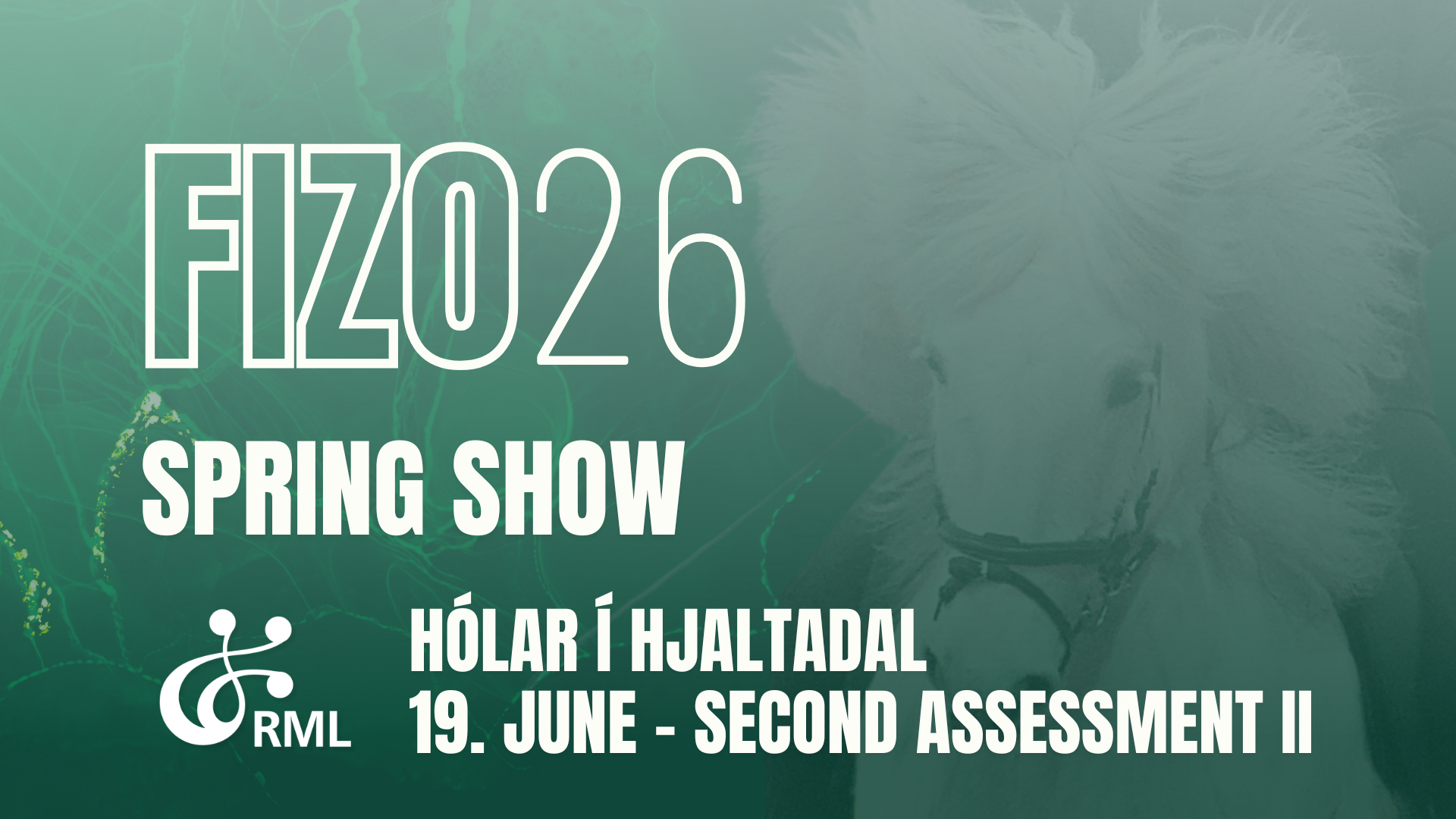 19. June - FIZO Hólar II Second assessment, after lunch