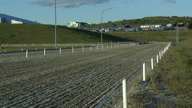 A flokkur - Forkeppni - Gæðingamót Sp...