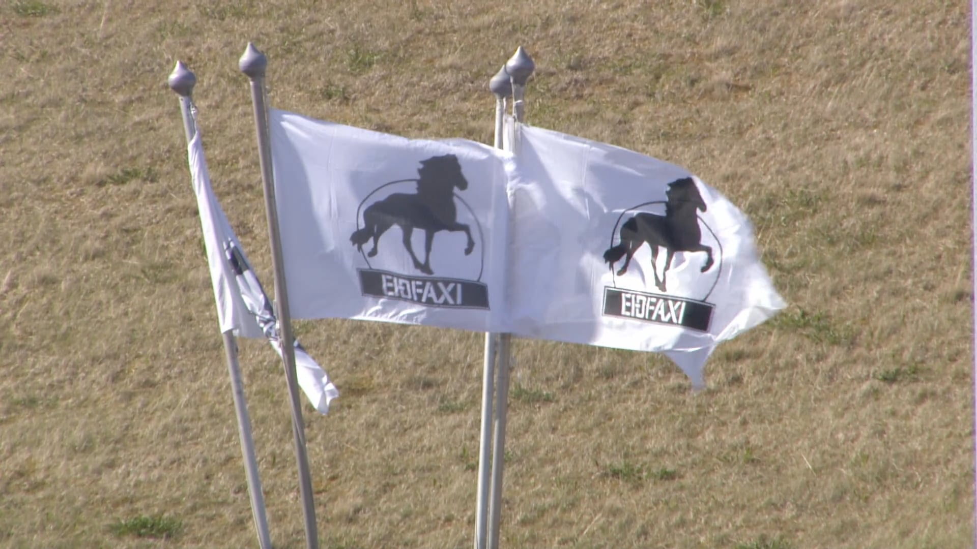 Tölt T3 - 2. flokkur - A úrslit - Íþróttamót Spretts 2025