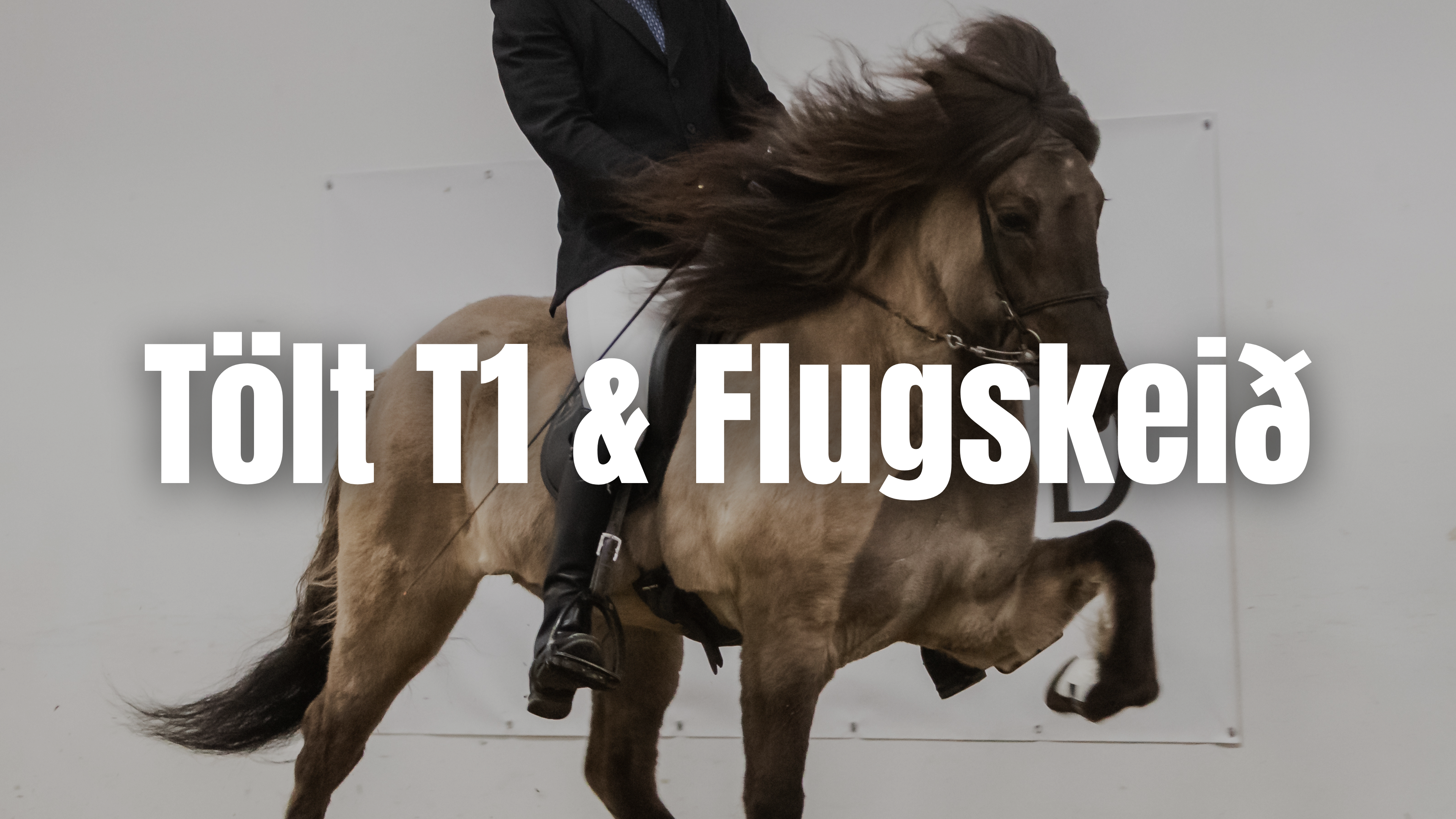 Meistaradeild 2025 - T1 og Flugskeið