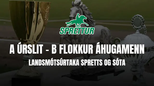 A úrslit B flokkur áhugamenn - Gæðing...