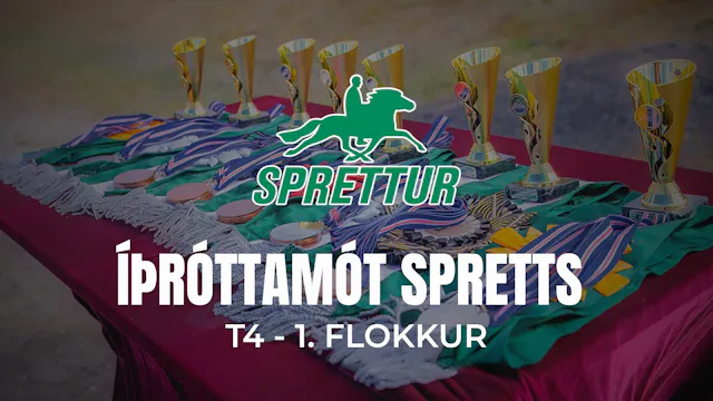 T4 1. flokkur - Opið íþróttamót Spretts