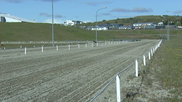 Unglingaflokkur gæðinga - Forkeppni -...
