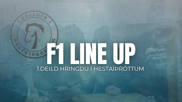 Dregið í rásröð fyrir fimmgang F1 - 1...