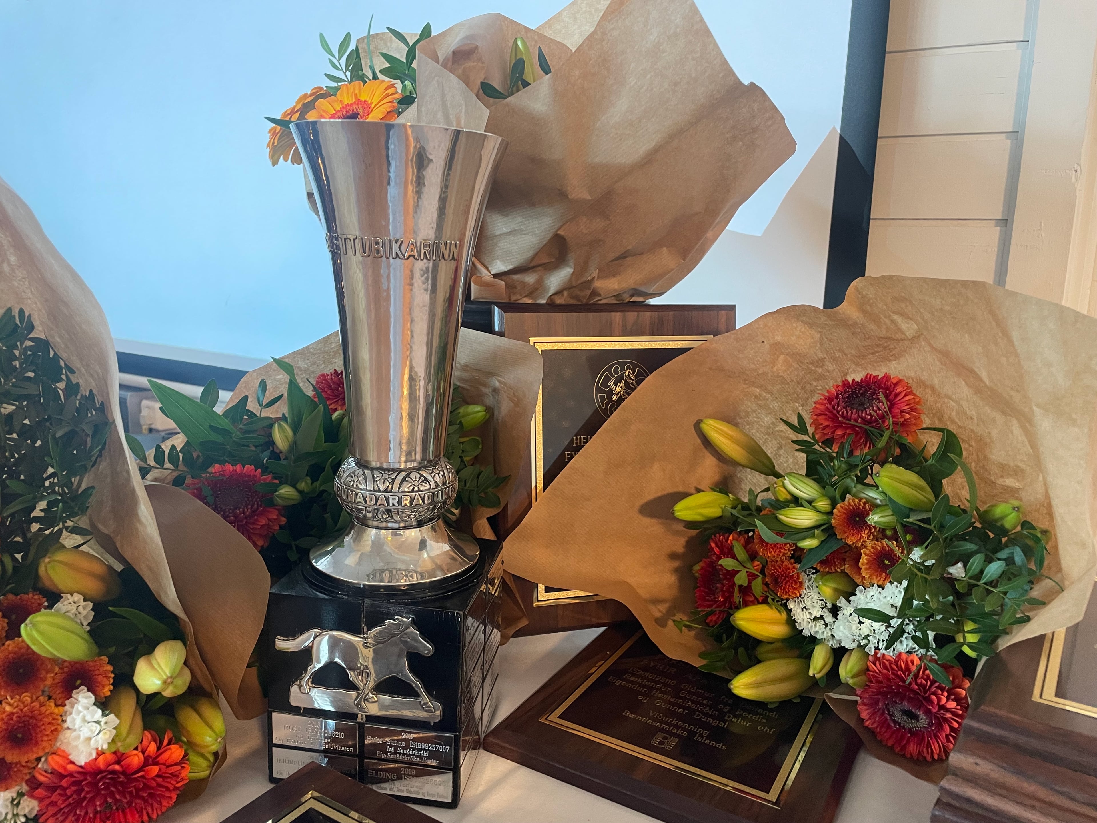 Hrossaræktin 2024 Ræktunarráðstefna fagráðs