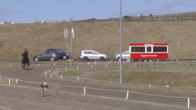 Fimmgangur F1 - Ungmennaflokkur - For...