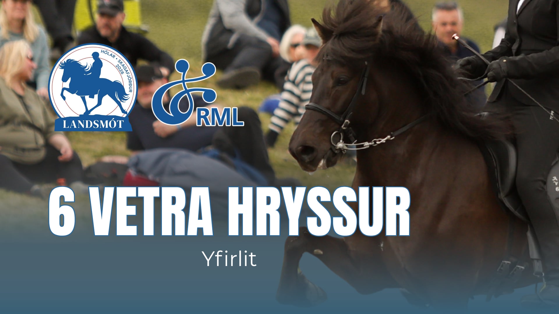 6 years old mares second round - Landsmót hestamanna