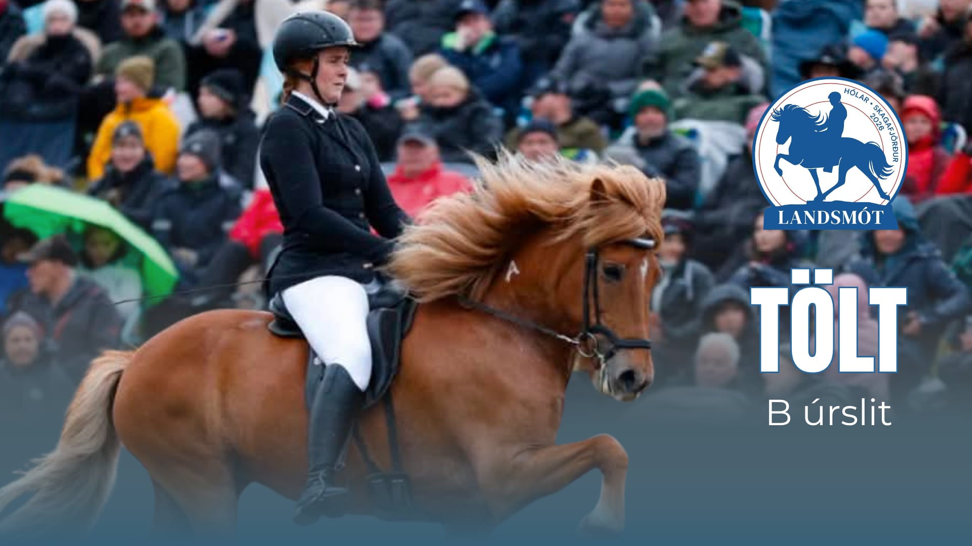 Tölt T1 B finals - Landsmót hestamanna