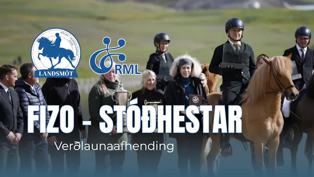 Award ceremony Stallions - Landsmót h...
