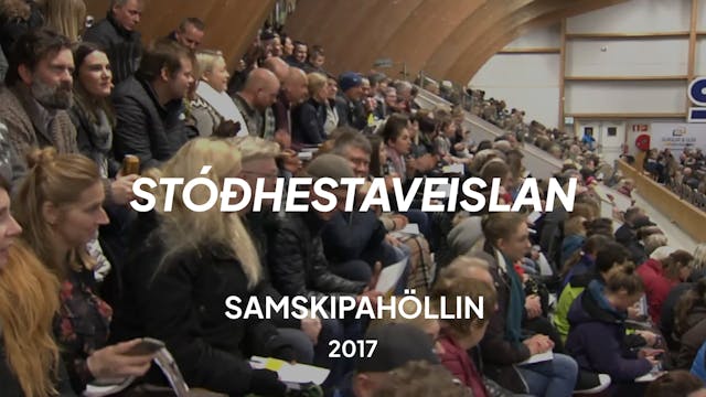 Stóðhestaveislan 2017