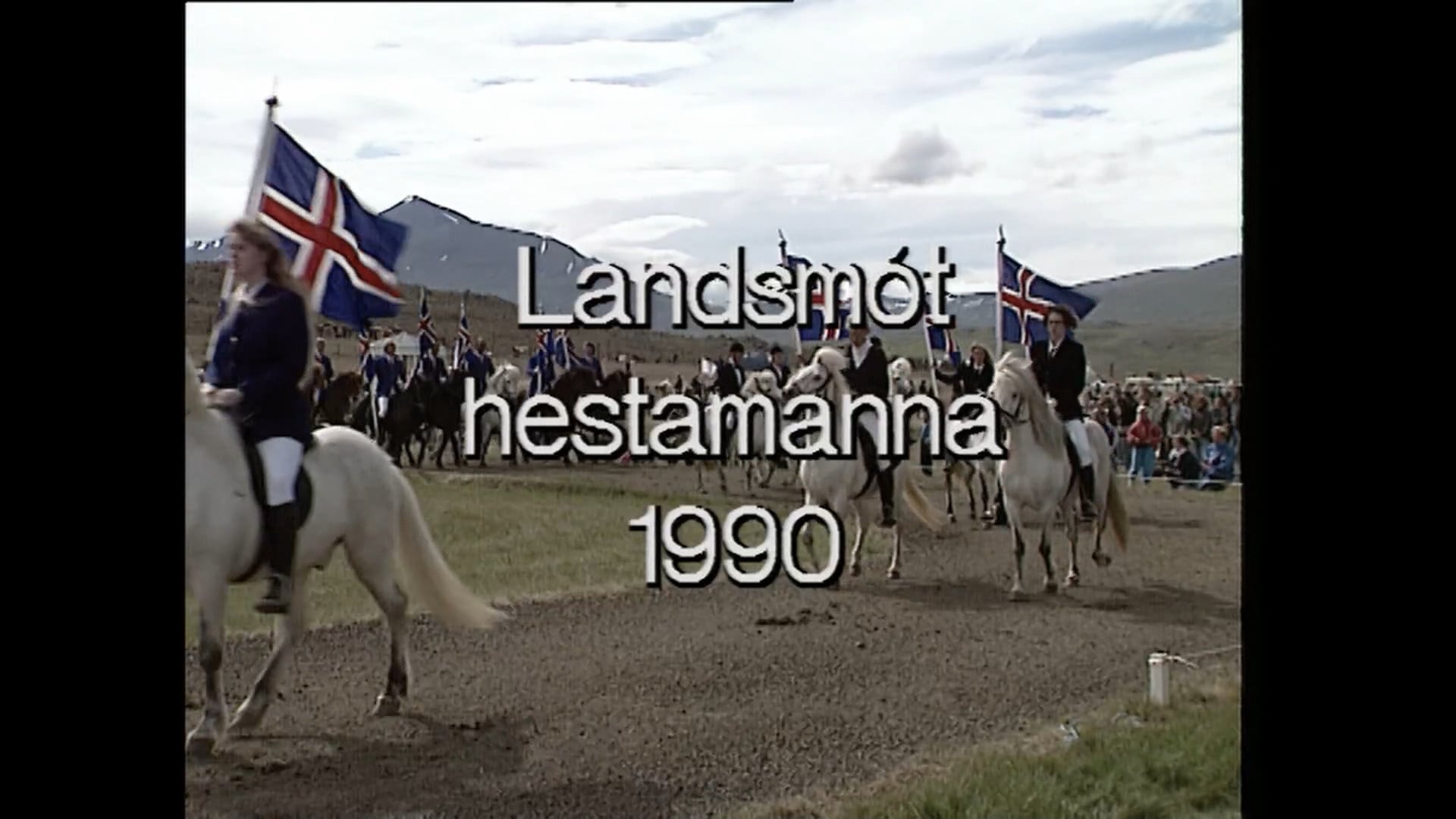 Landsmót hestamanna 1990