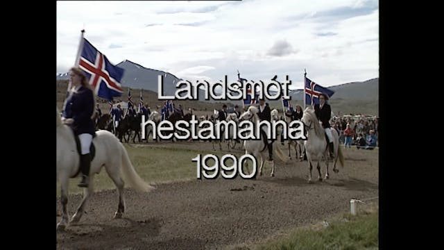 Landsmót hestamanna 1990