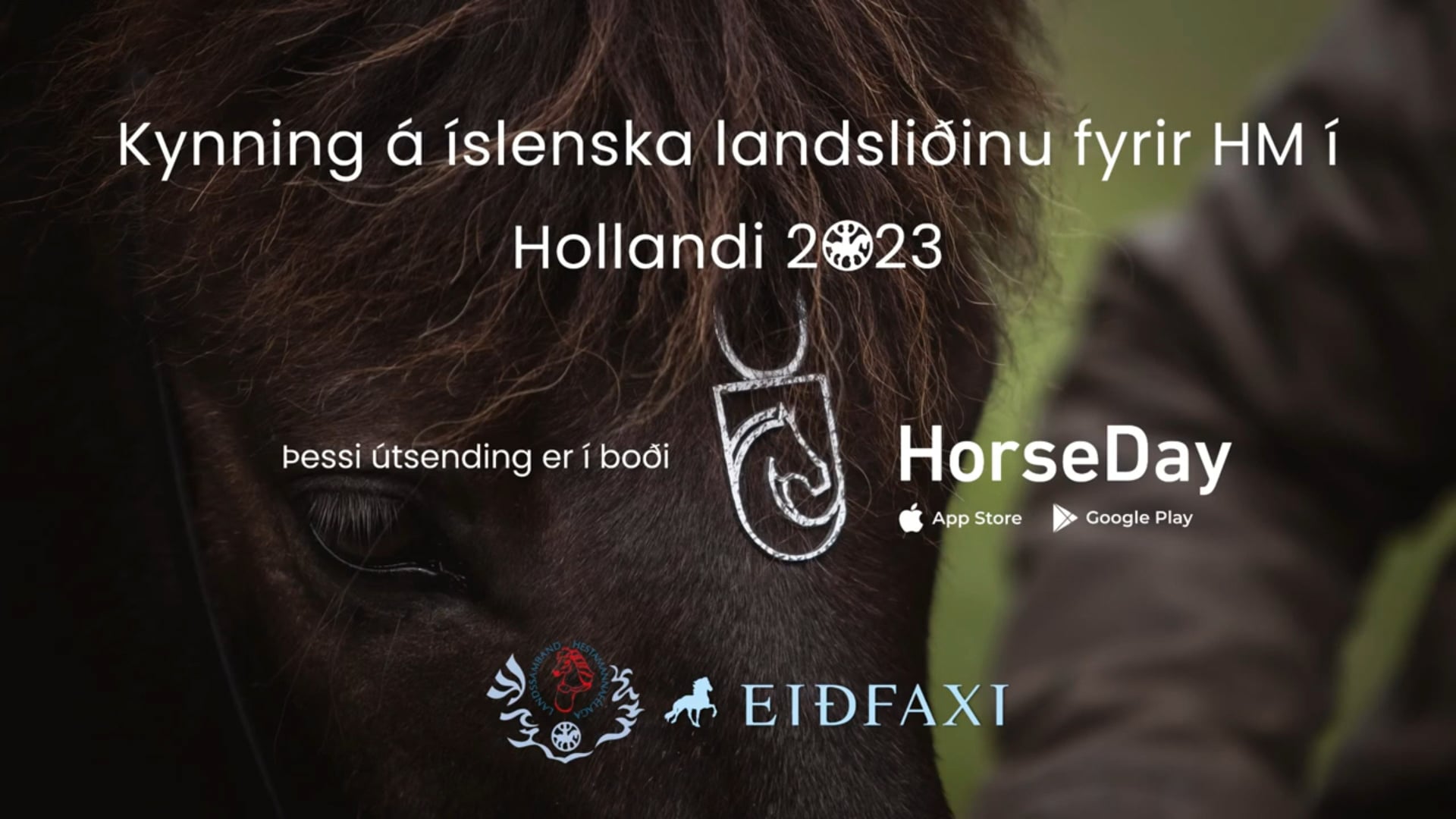 Kynning á Íslenska landsliðinu fyrir HM 2023