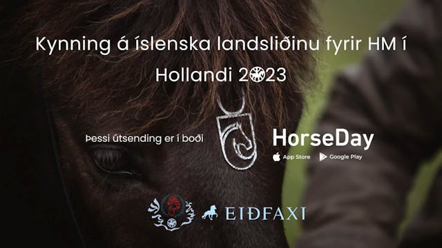 Kynning á Íslenska landsliðinu fyrir ...