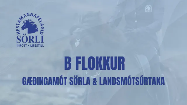 B flokkur - Gæðingamót Sörla & Landsm...