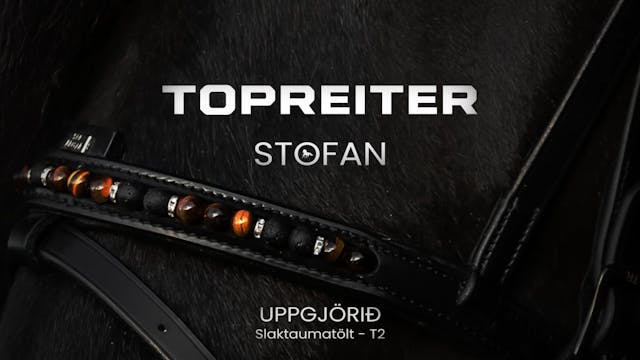 TopReiter stofan - Uppgjörsþáttur Töl...