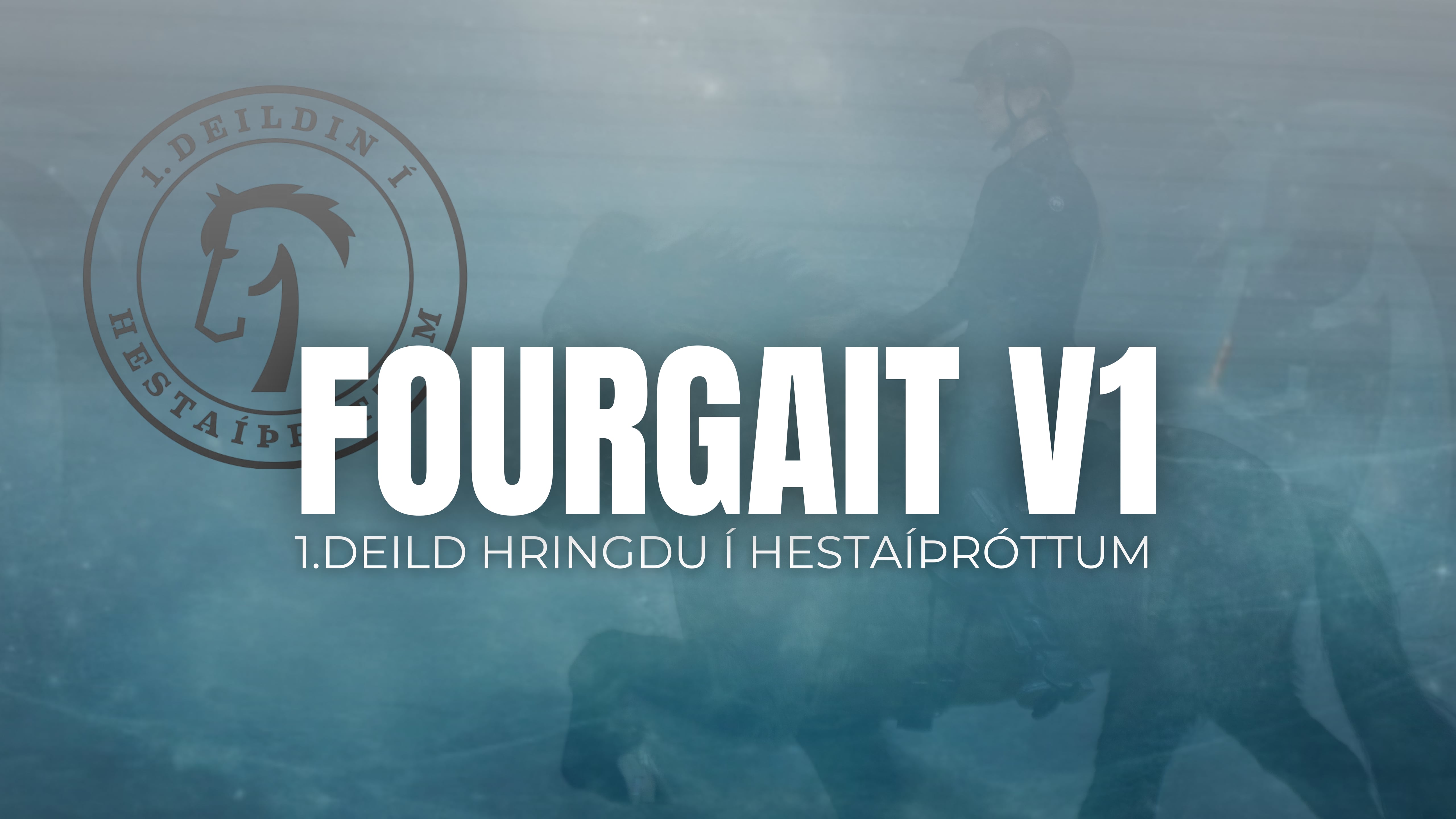 V1 Fourgait - 1 deild Hringdu