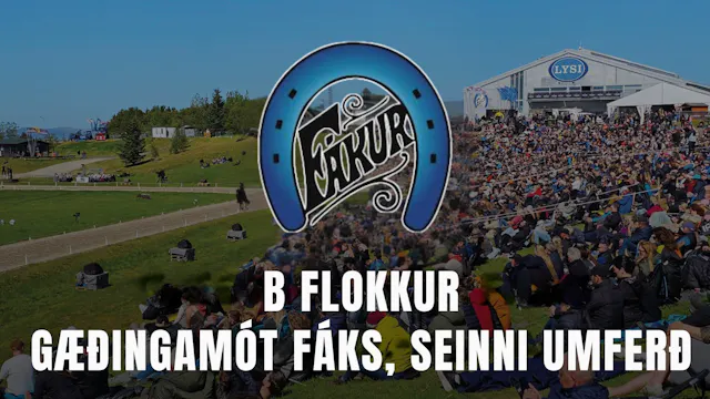 B flokkur, seinni umferð - Gæðingamót...