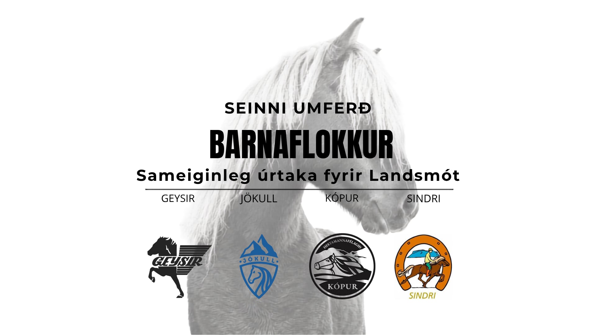 Barnaflokkur - Landsmótsúrtaka Geysis, Jökuls, Kóps og Sindra